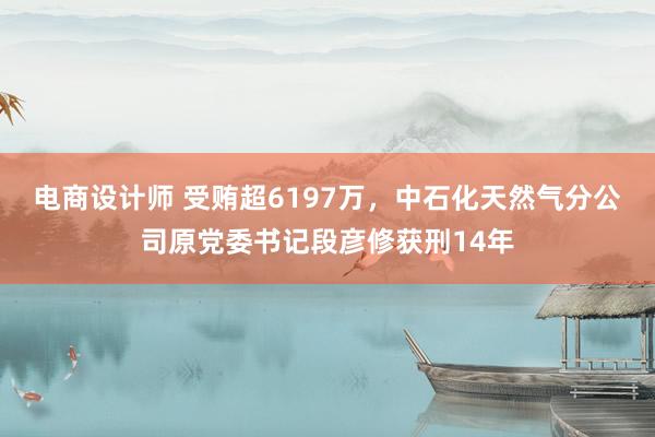 电商设计师 受贿超6197万，中石化天然气分公司原党委书记段彦修获刑14年